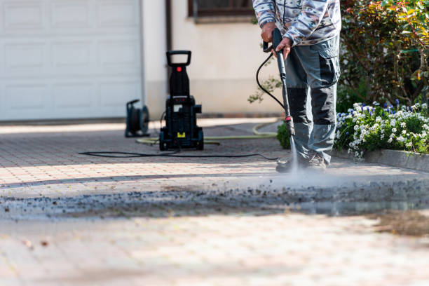 Best Roof Pressure Washing  in Beaver Dam, KY
